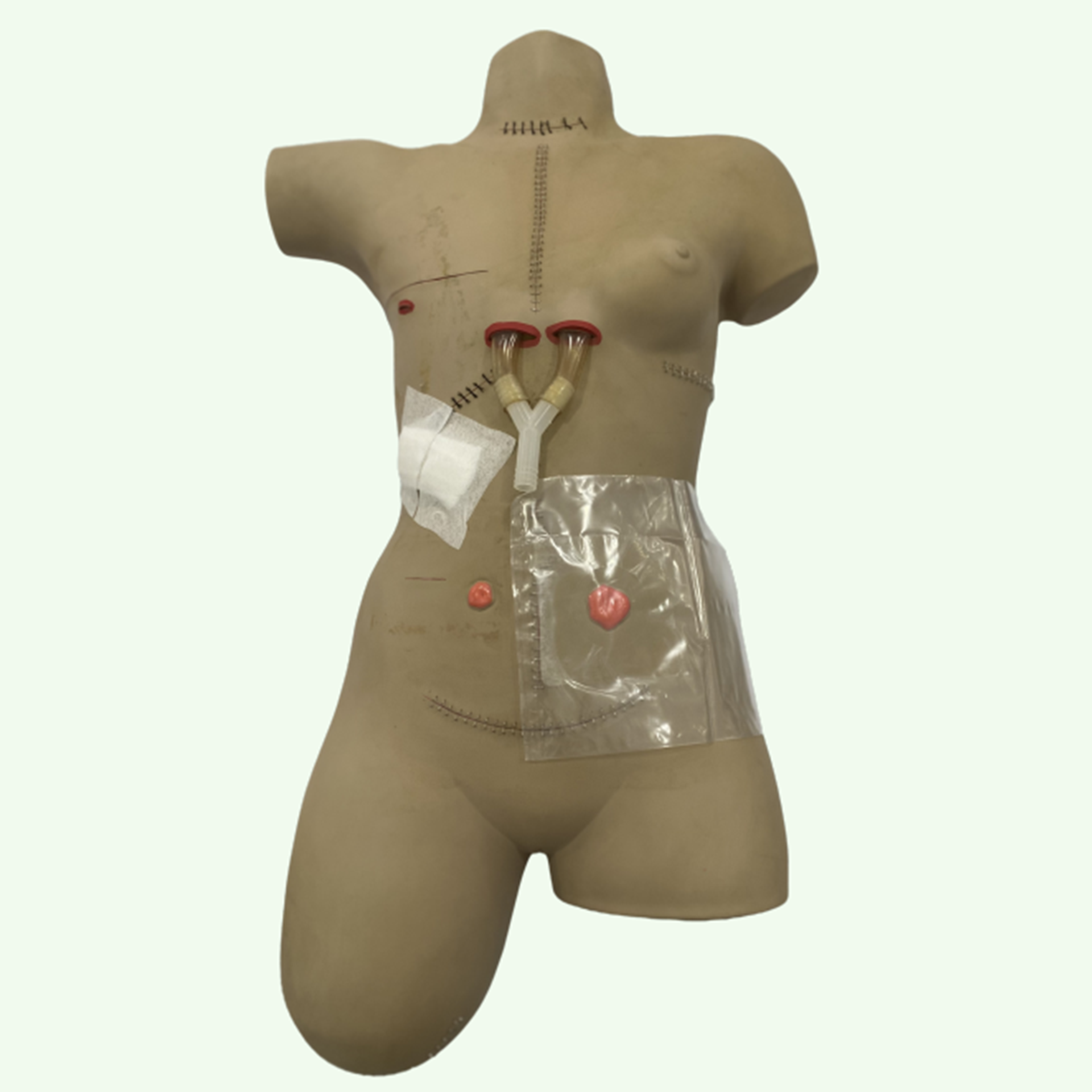 Model Perawatan Luka Drain (WSD) Image